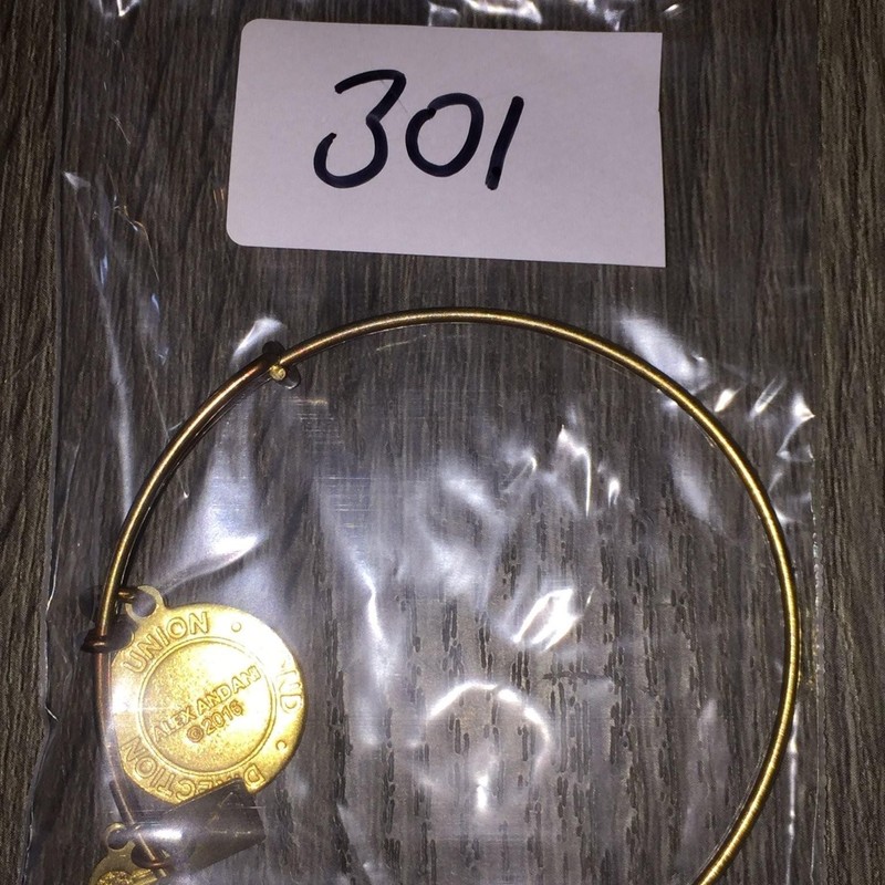 Alex and Ani Bracelet Union Direction Compass Expandable Gold Tone Charm Bangle gallery