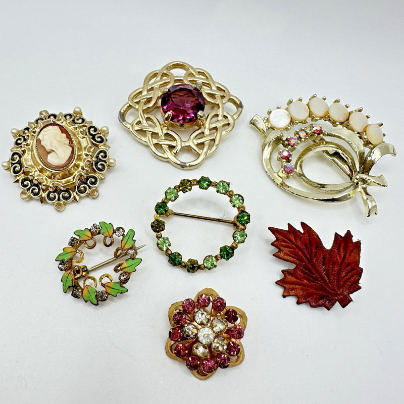 Vintage Brooch Lot Coro Pegasus Cameo Rhinestones Leather Leaf Pin 7 Pc