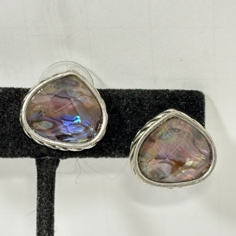 Vintage NAPIER Silver Tone Abalone Pierced Earrings Teardrop Facet Pierced Post