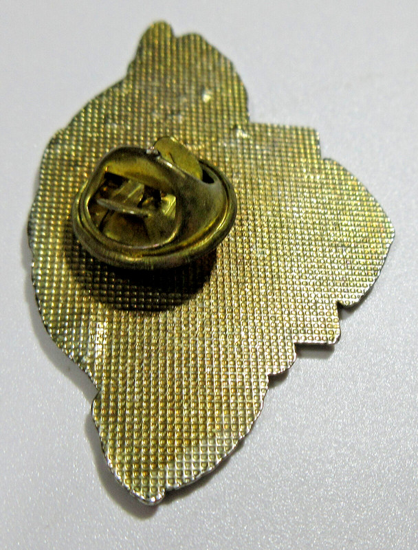 Vtg MOTORCYCLE BIKER BIKE RIDE To LIVE EAGLE gold tone Pin tac unisex men Lapel gallery