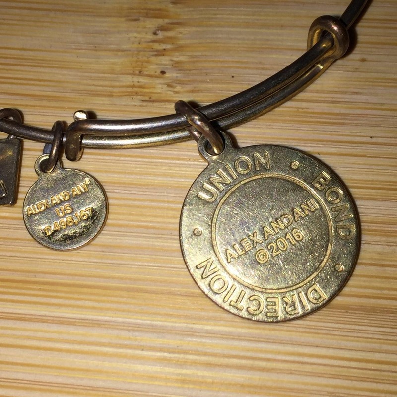 Alex and Ani Bracelet Union Direction Compass Expandable Gold Tone Charm Bangle gallery