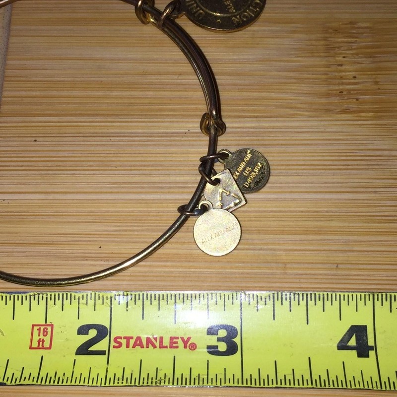 Alex and Ani Bracelet Union Direction Compass Expandable Gold Tone Charm Bangle gallery